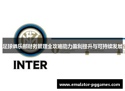 足球俱乐部财务管理全攻略助力盈利提升与可持续发展 足球俱乐部财务管理全攻略助力盈利提升与可持续发展