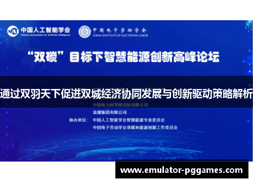 通过双羽天下促进双城经济协同发展与创新驱动策略解析 通过双羽天下促进双城经济协同发展与创新驱动策略解析