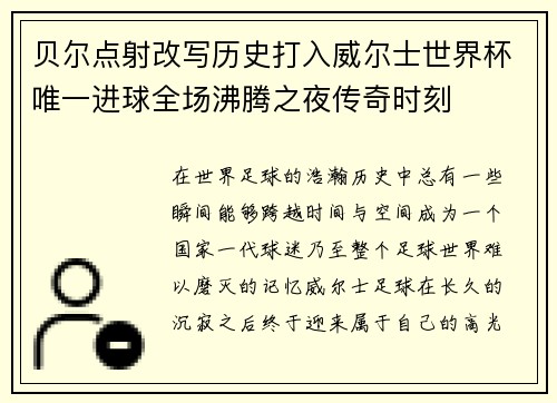 贝尔点射改写历史打入威尔士世界杯唯一进球全场沸腾之夜传奇时刻