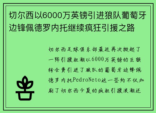 切尔西以6000万英镑引进狼队葡萄牙边锋佩德罗内托继续疯狂引援之路 切尔西以6000万英镑引进狼队葡萄牙边锋佩德罗内托继续疯狂引援之路